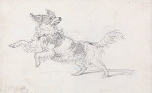 De hond van Lady Londonderry door James Ward